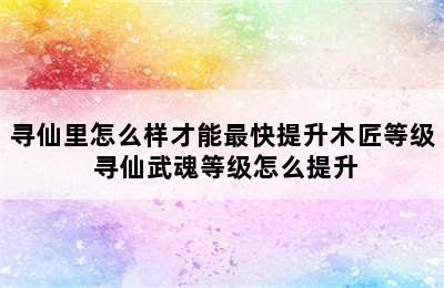 寻仙里怎么样才能最快提升木匠等级 寻仙武魂等级怎么提升